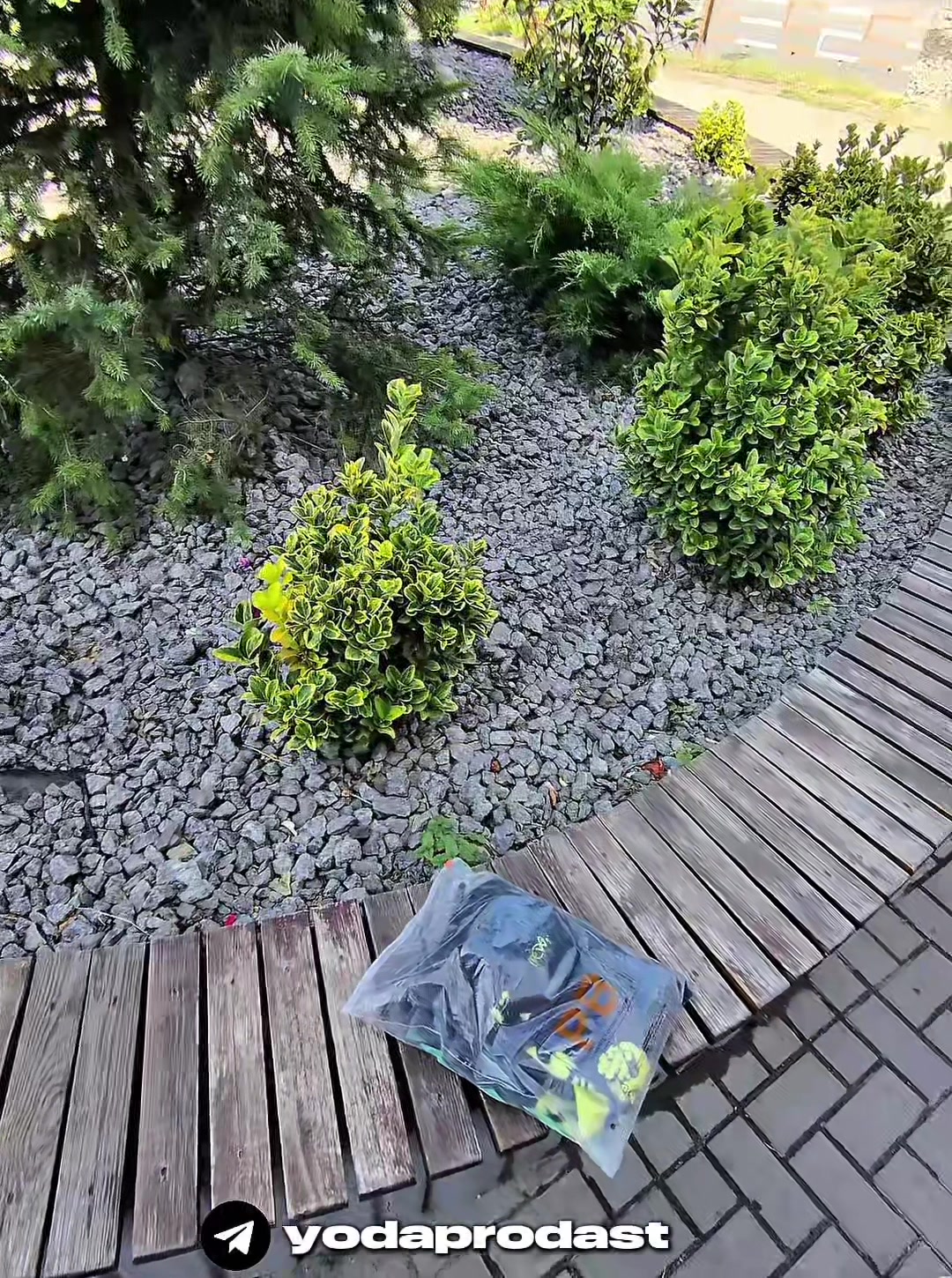 @yoda🧌🇲🇩