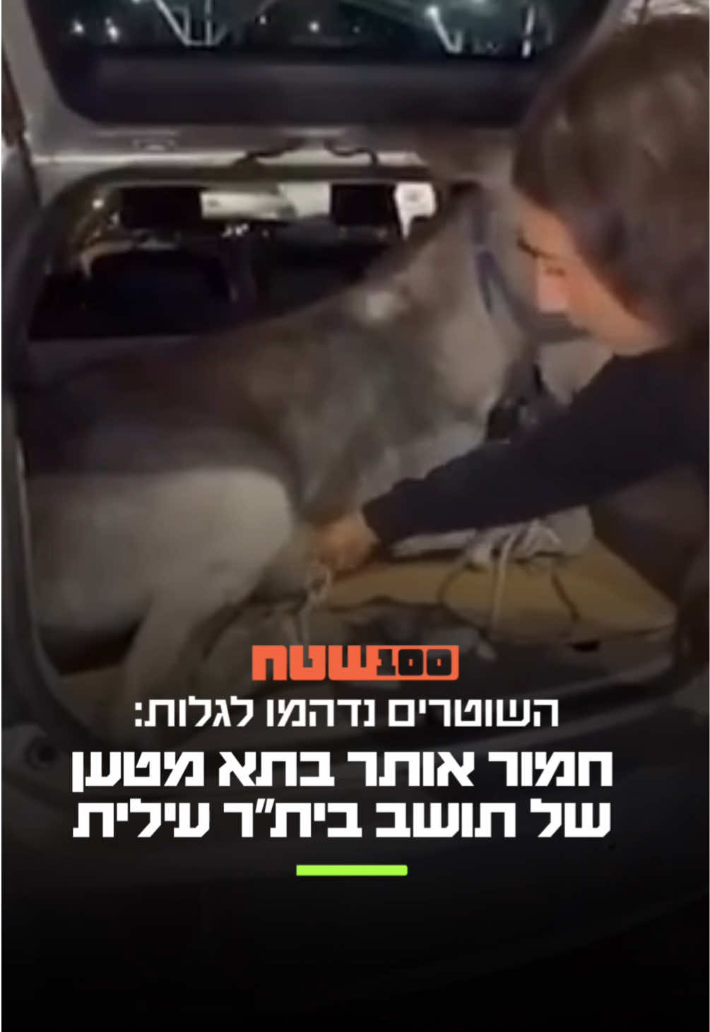 @100שטח