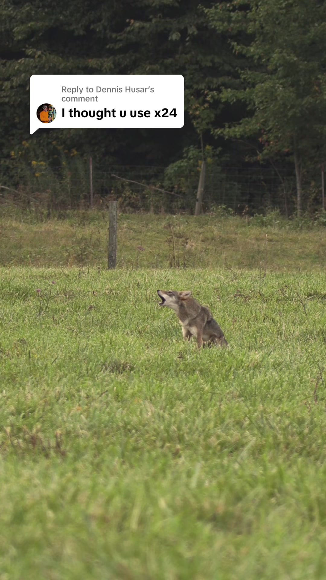 @FOXPRO Game Calls