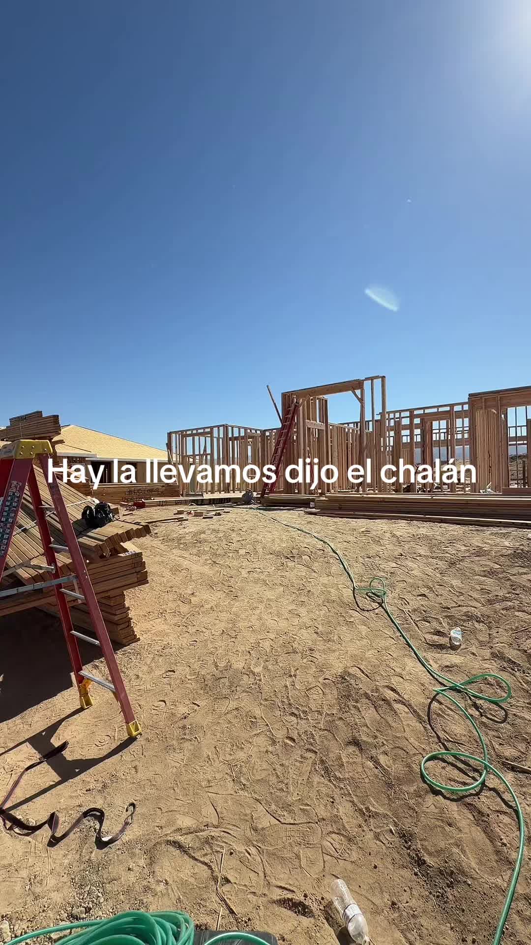 @Bicho503