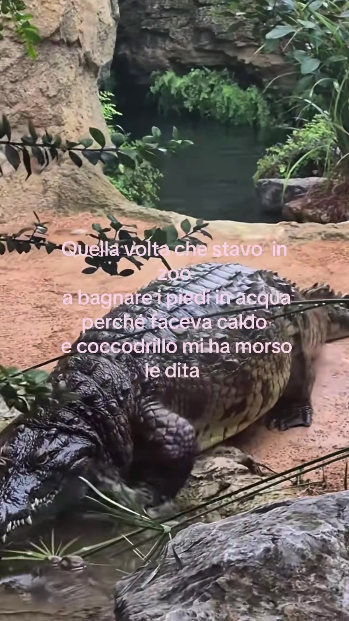 @autisticgirl