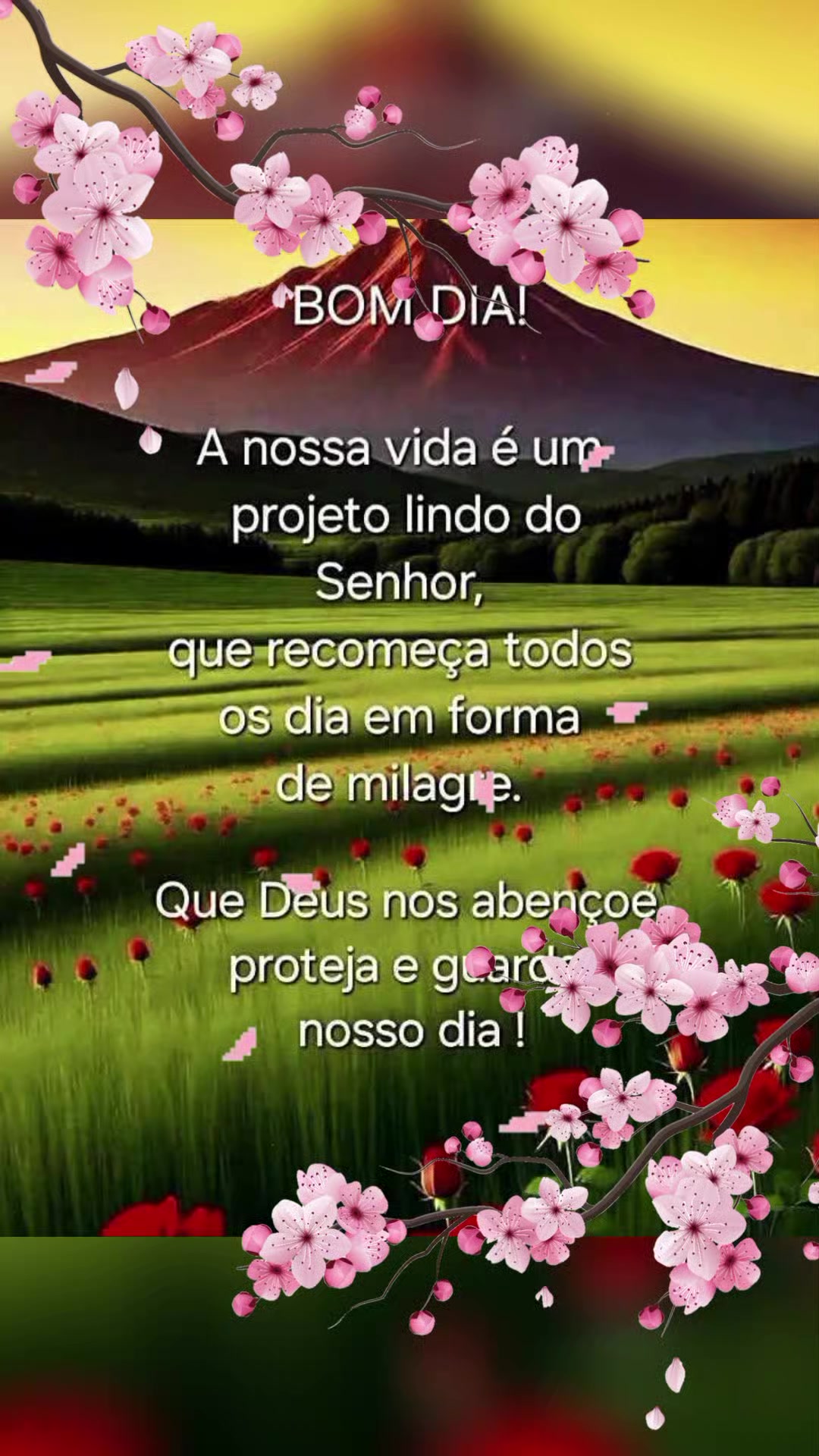 @Valdirene Soares 37