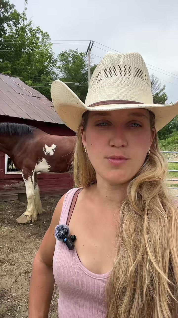@missstallgirl
