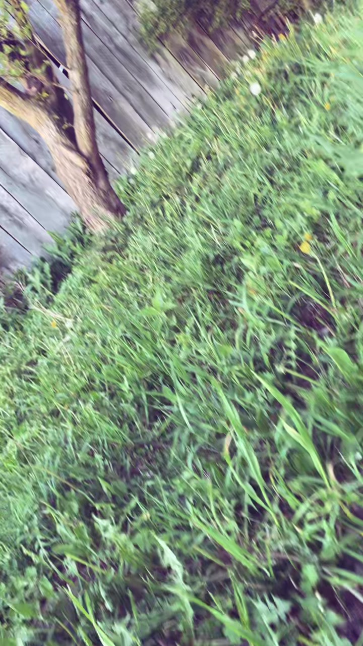 @Justyś🤗😘