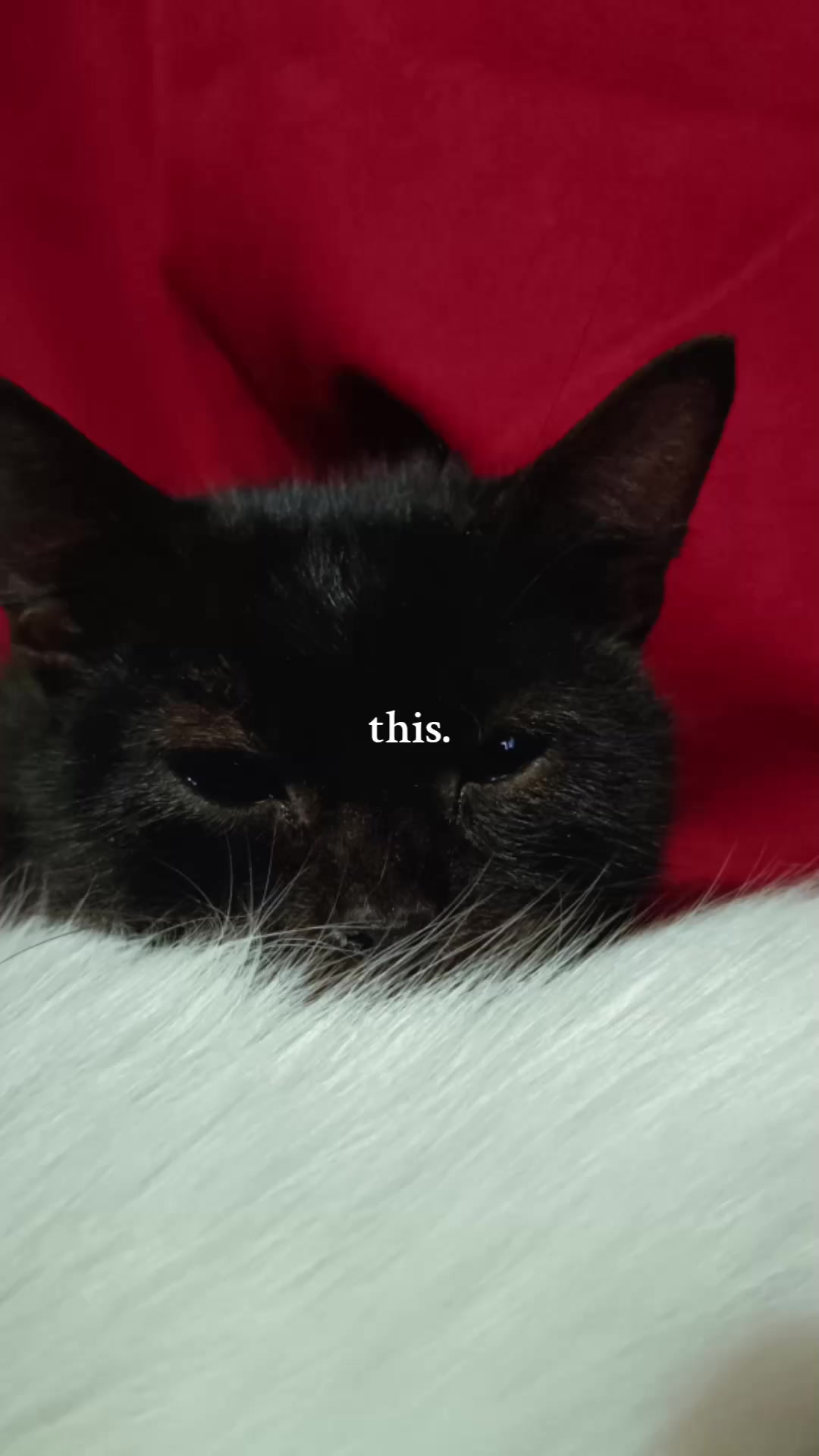 @Mari Villote