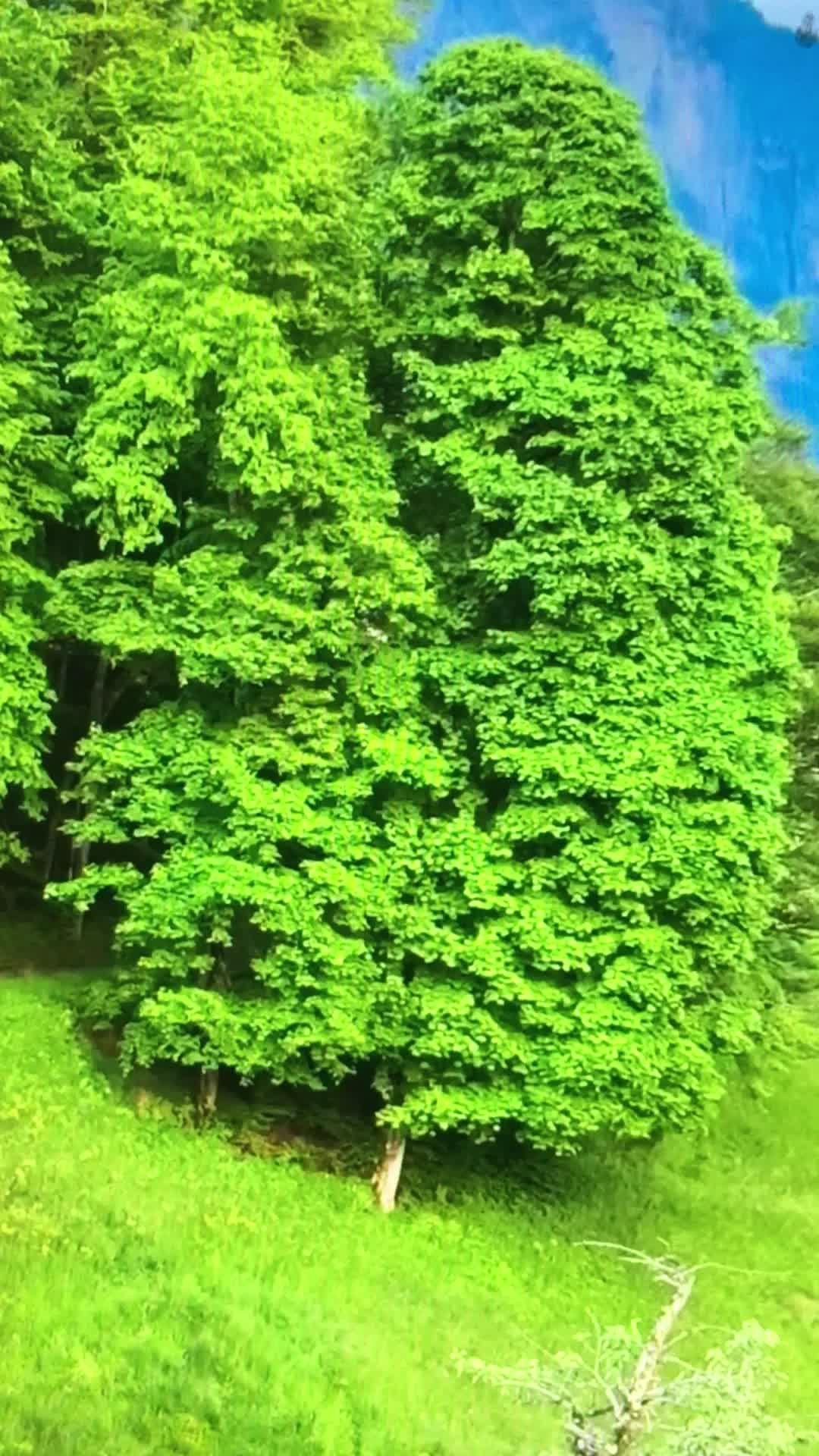 @youboonam