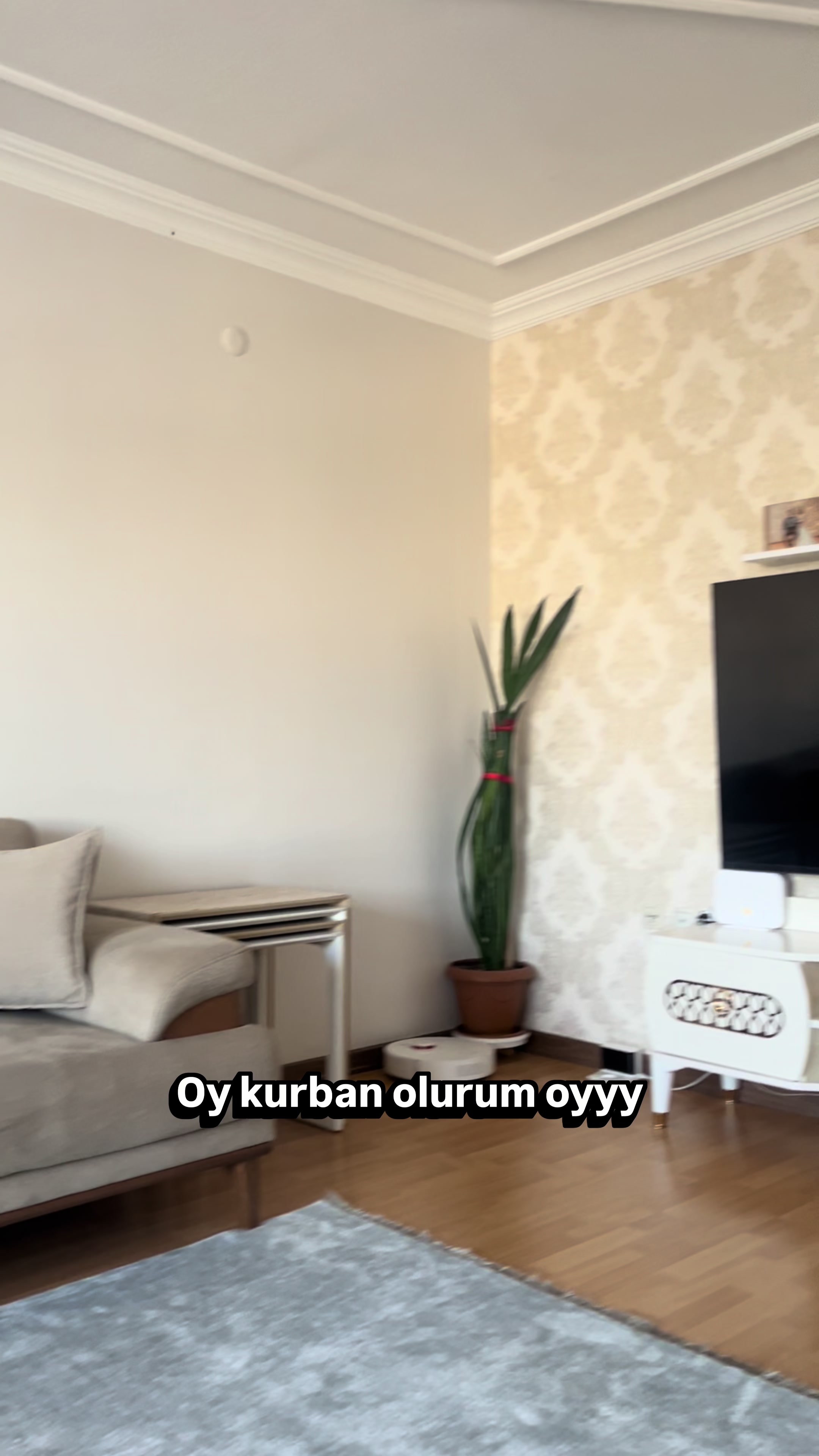 @Gökdemirailesi