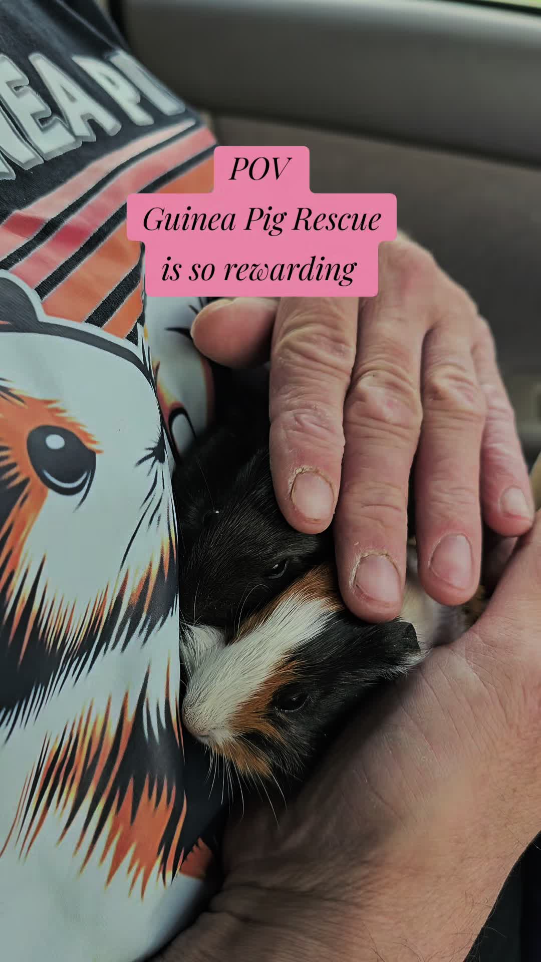 @♡GuineaPiggy♡