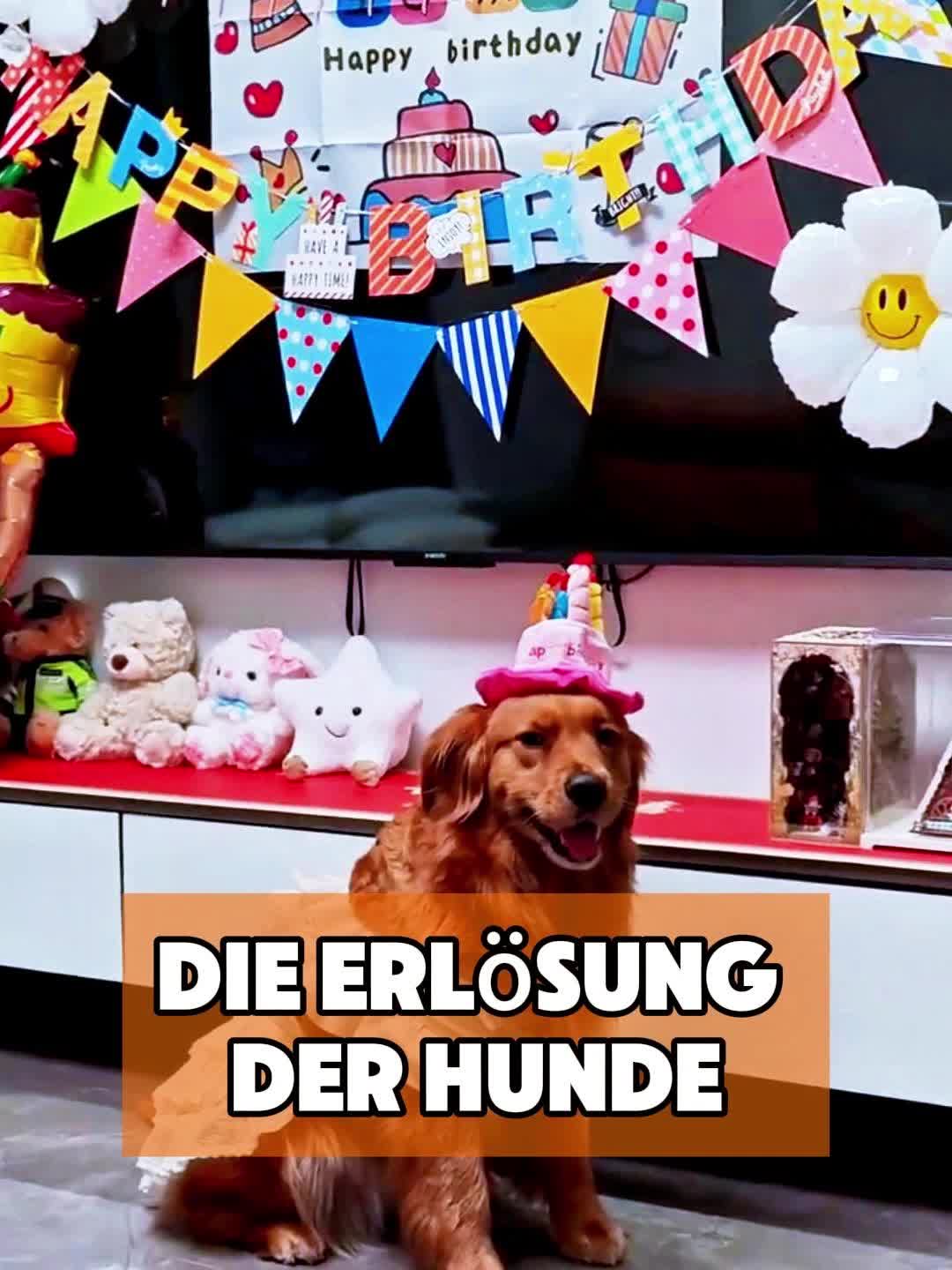 @toto_tier