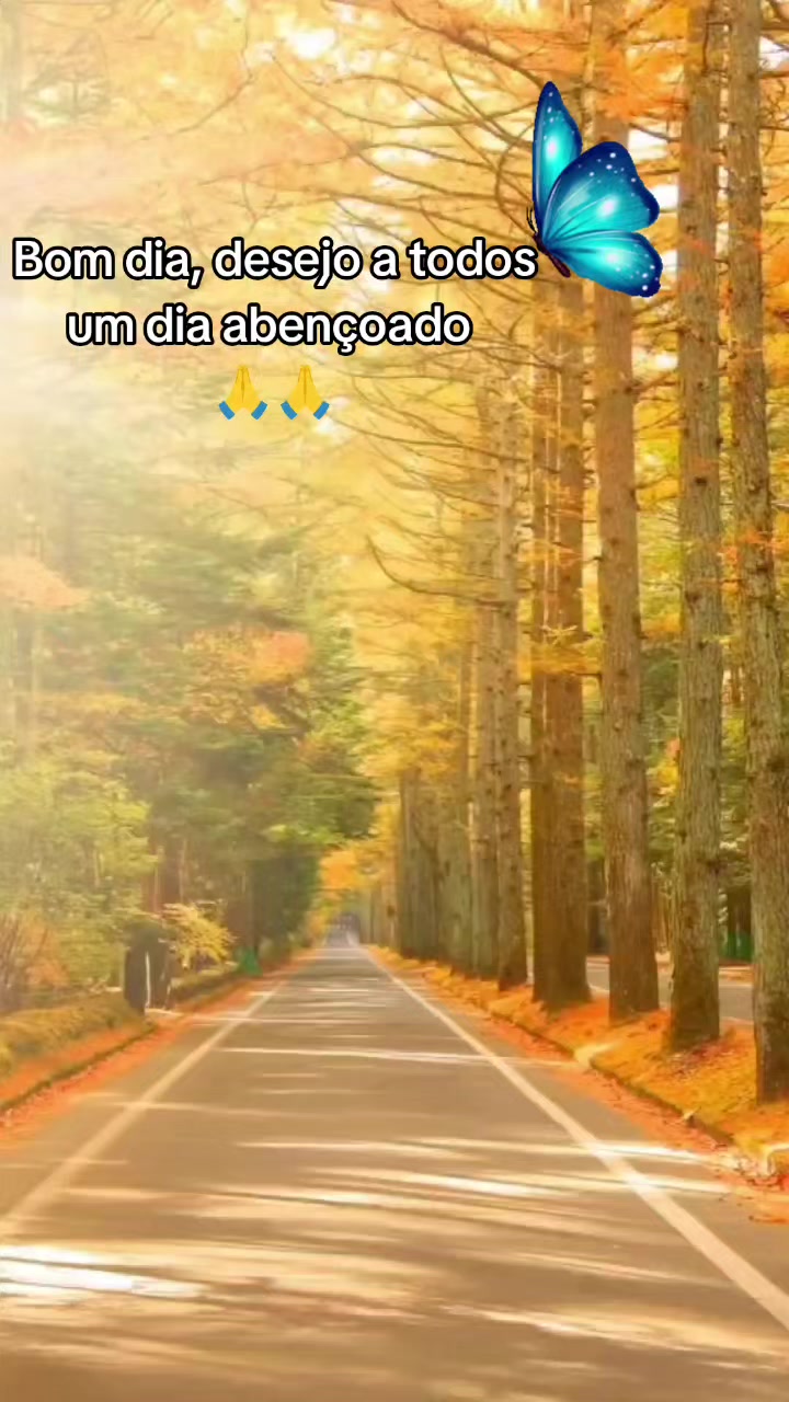 @🇧🇴🇧🇷🌸Nathalie Coral 🙏🌹