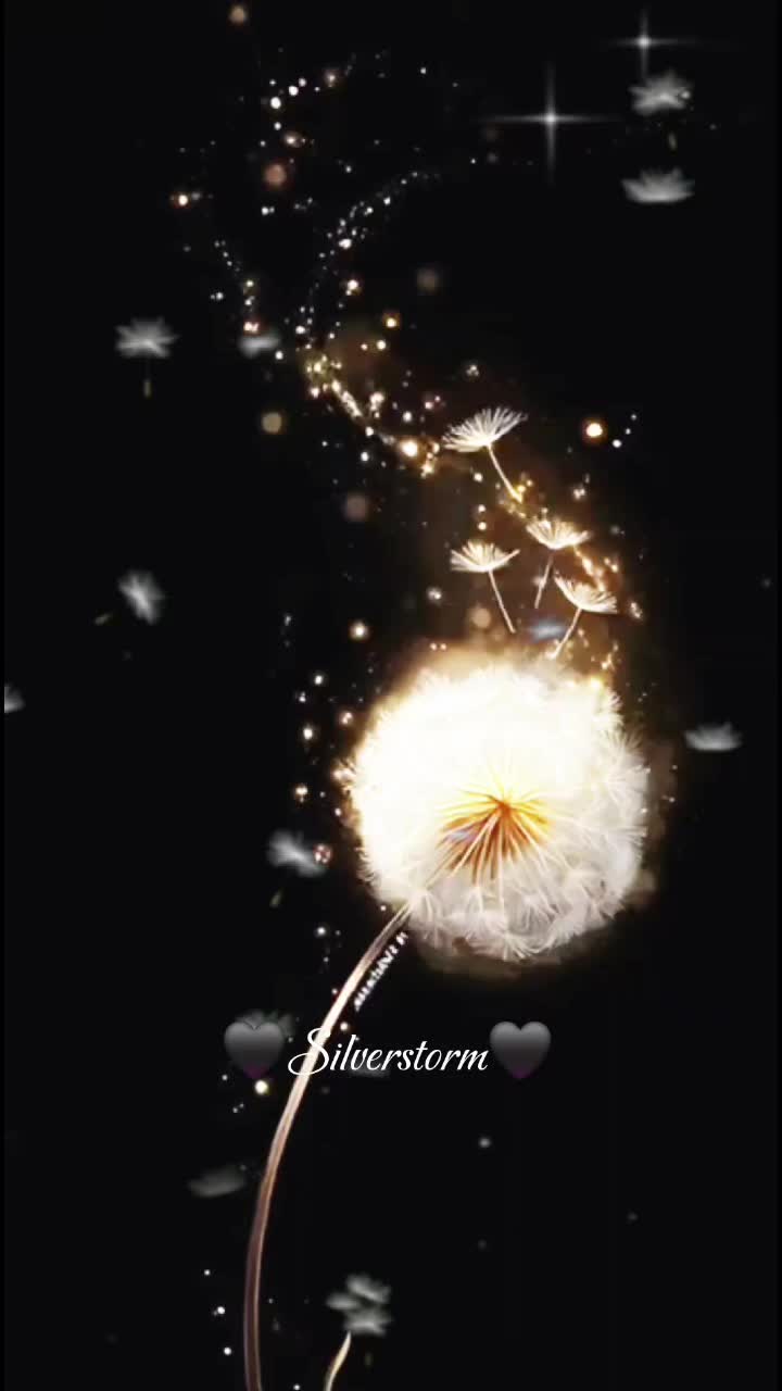 @🖤 Silverstorm 🖤