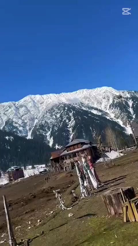 @SYED BHAI 121472