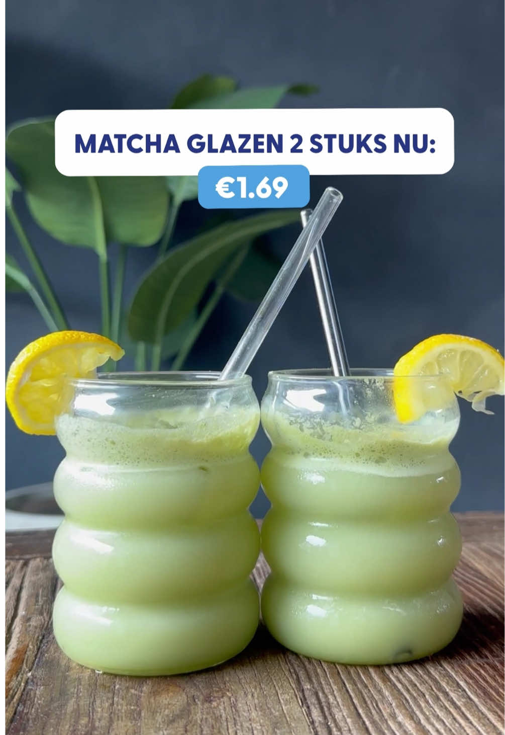@DieGrenzeNL