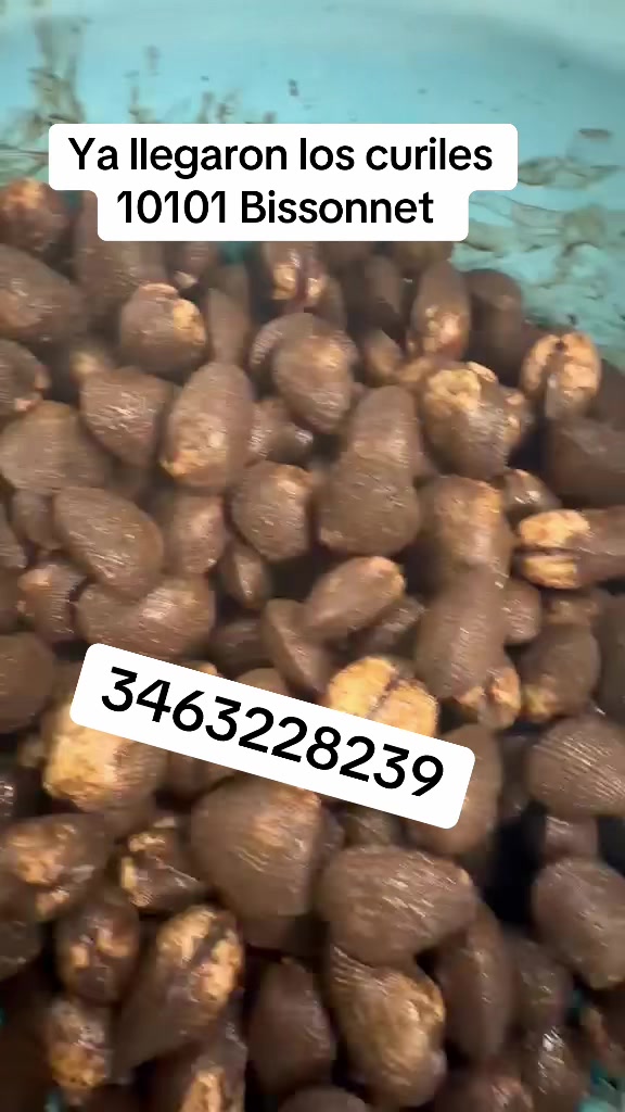 @Jusepi_la más viral
