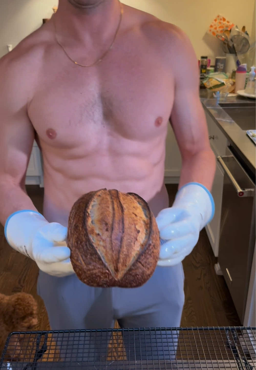 @Shredded_Baker