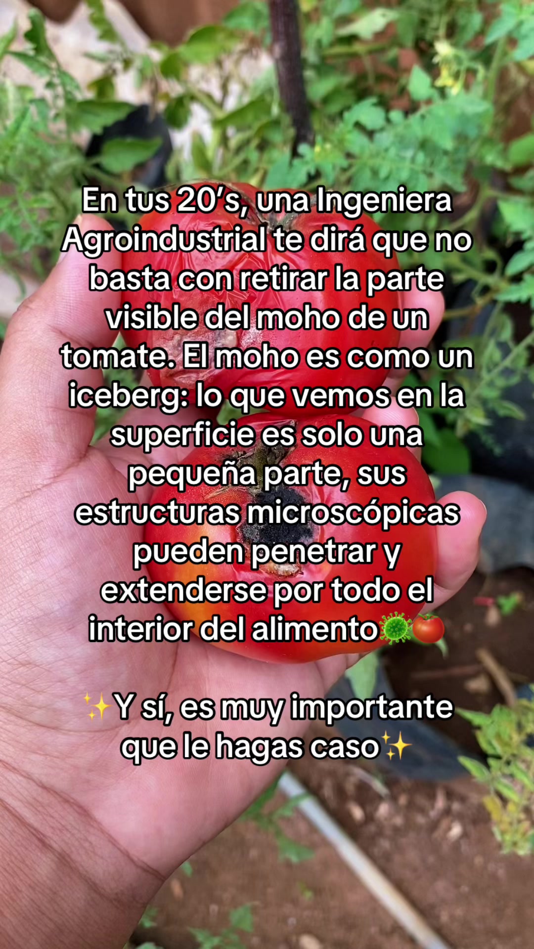 @Dedos verdes🌱