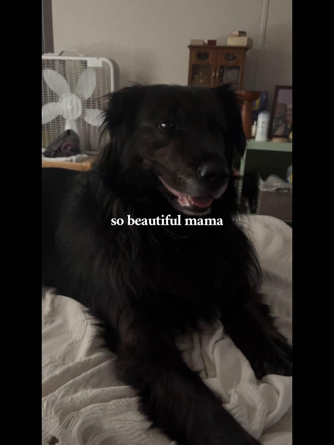 @Mama Ashy ๐ซถ๐ผ