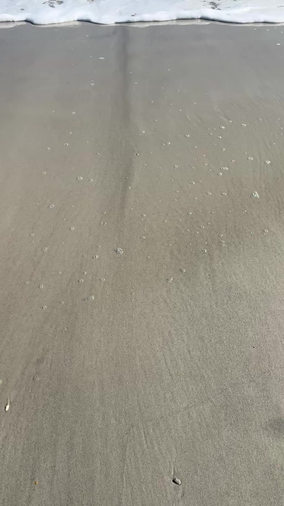 @Luela Margarita