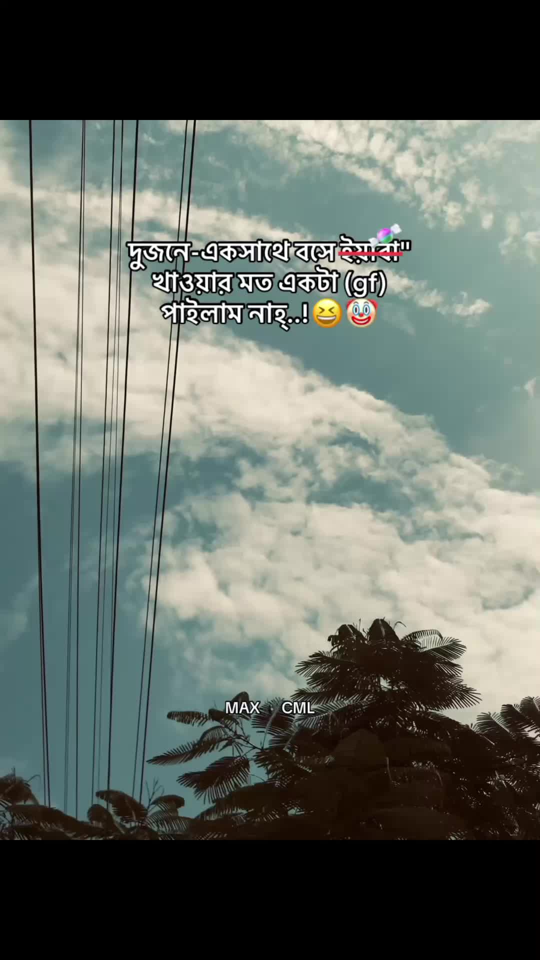 @MAX 🕷️ CML
