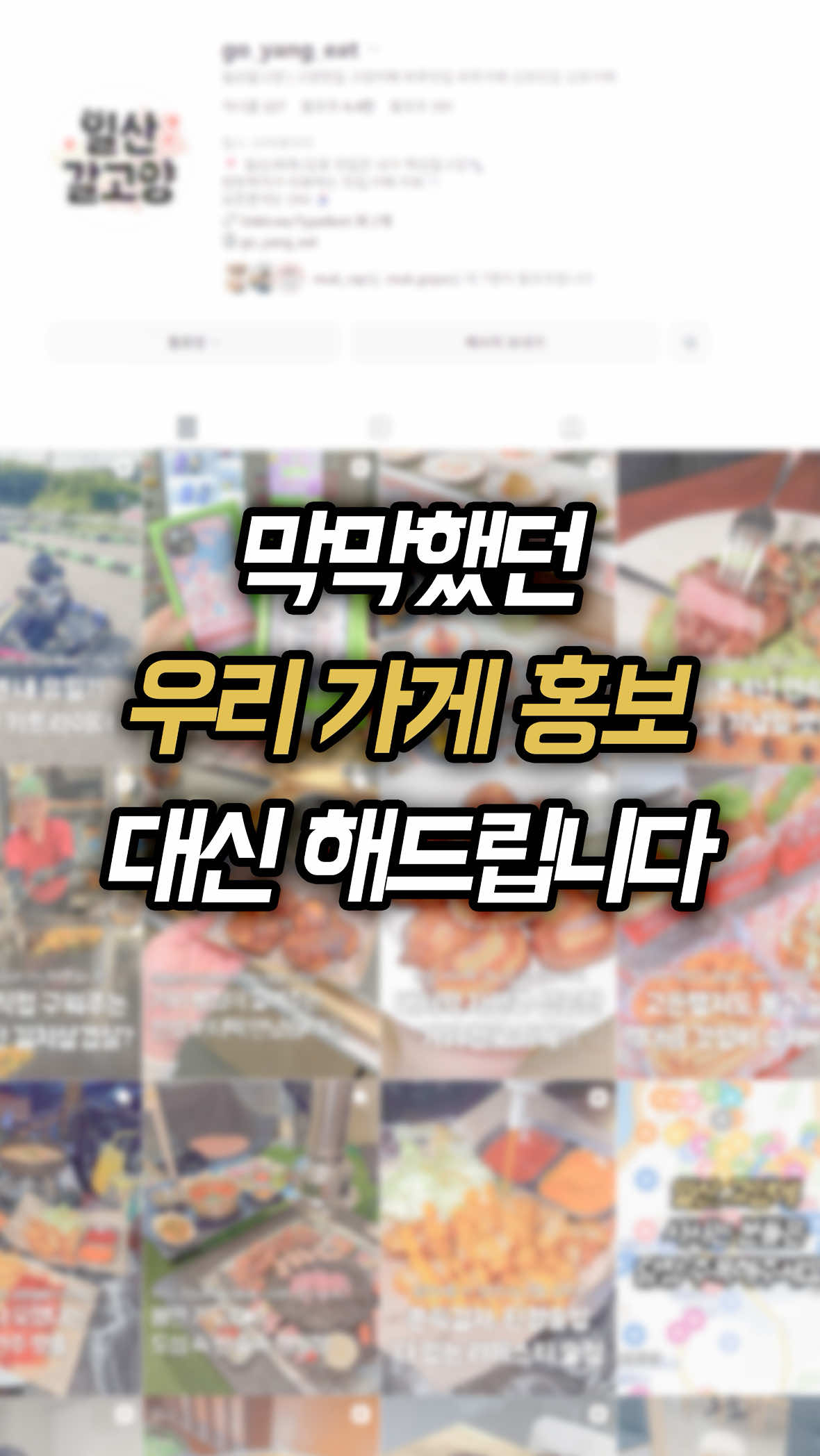 @일산갈고양