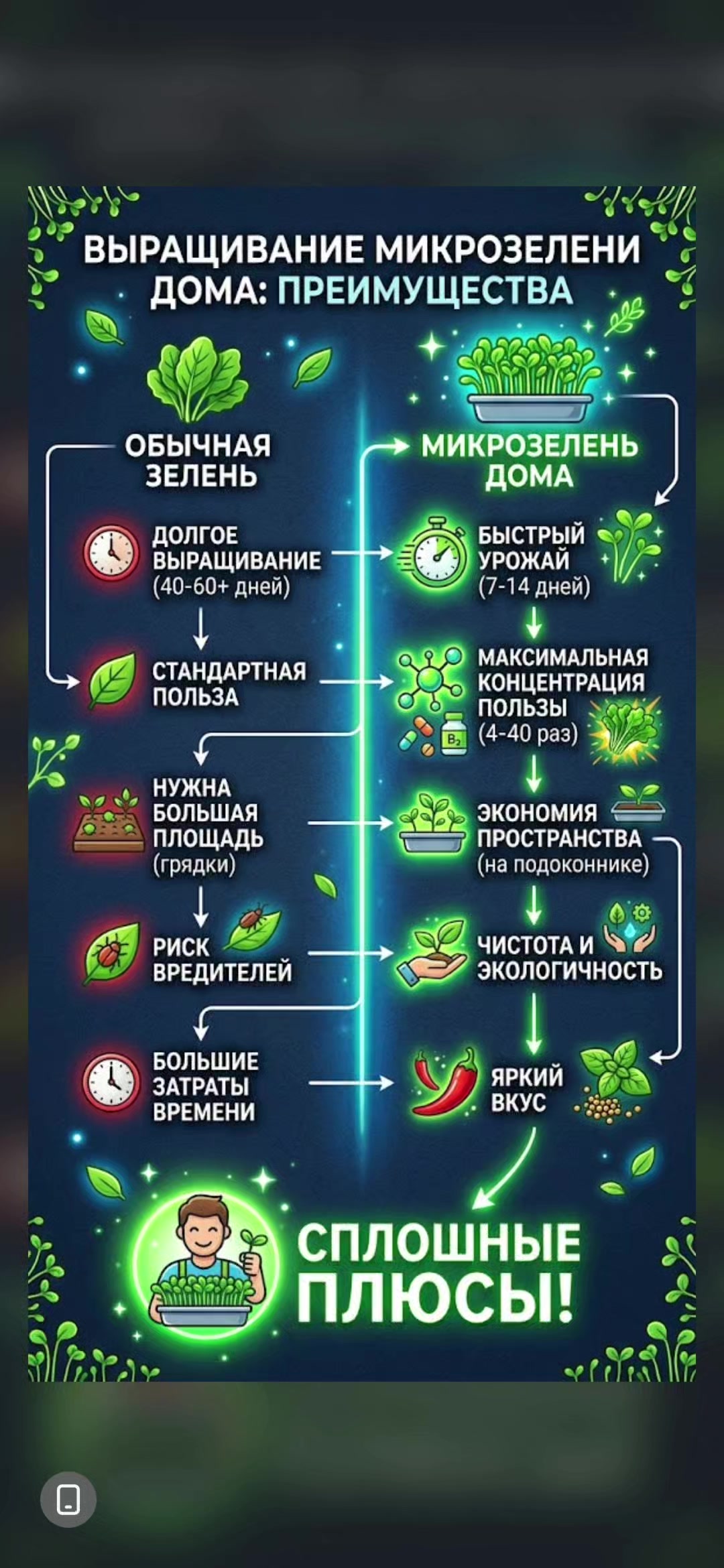@ЗНАХАРЬ - ПРИРОДА
