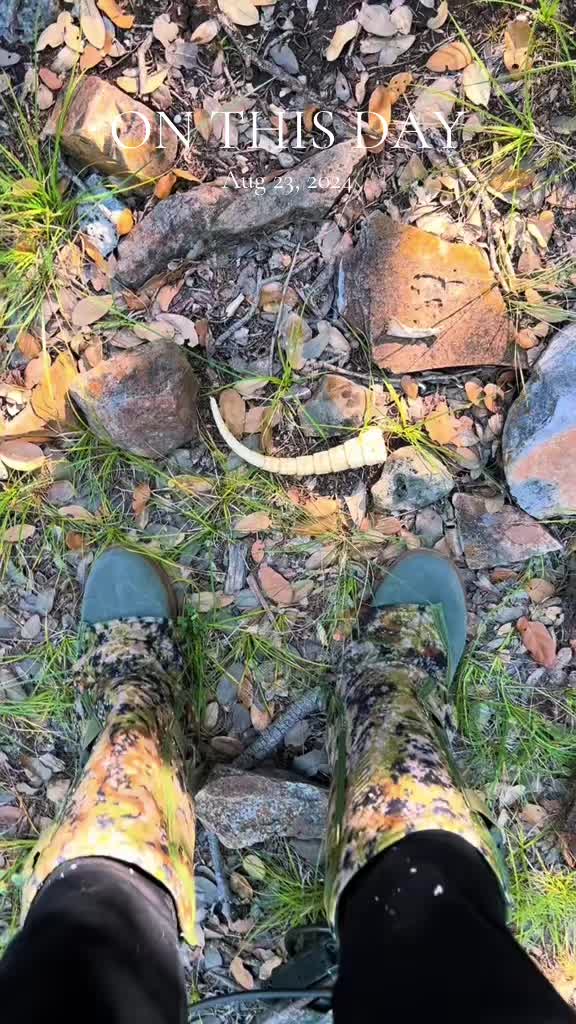 @HikerChickTx
