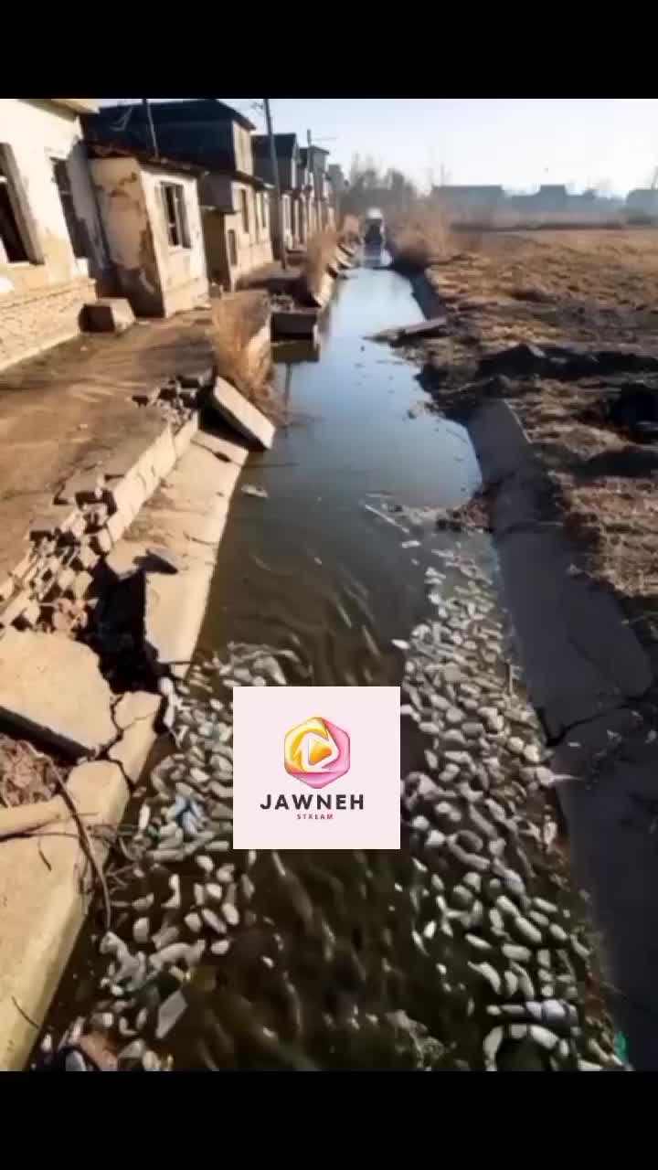 @jahanka boyo