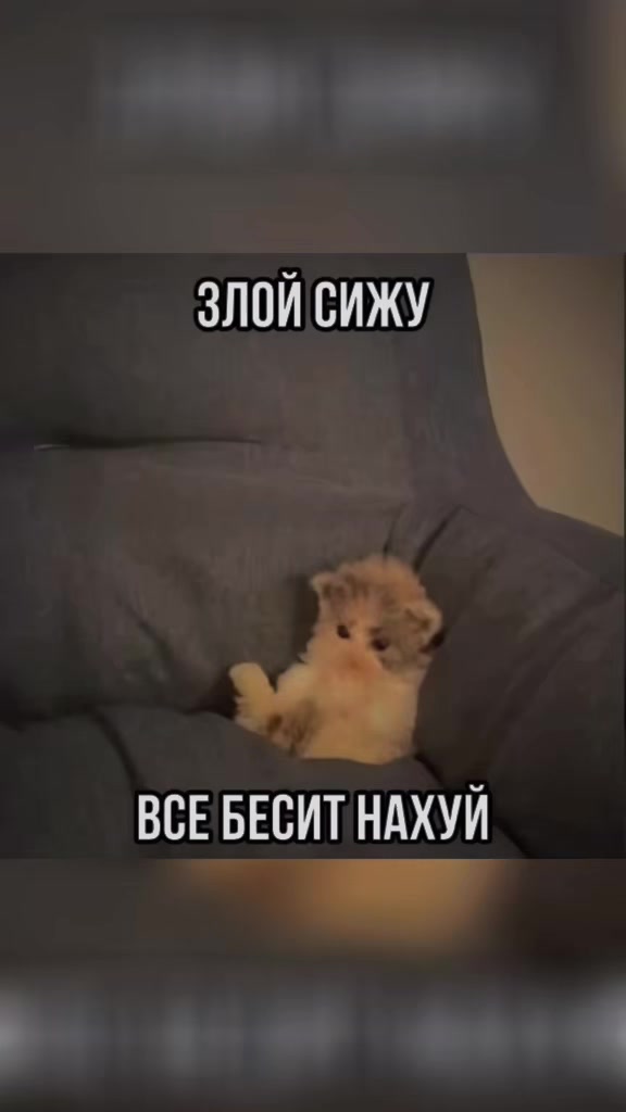 @KovaleF_Official07