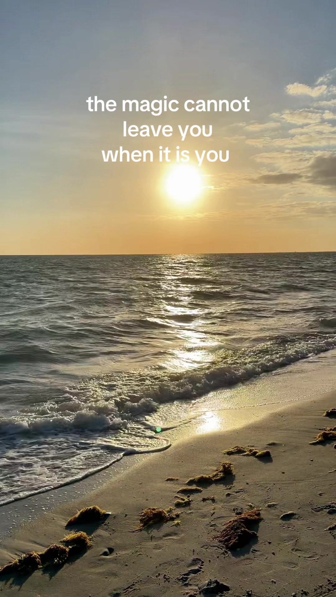 @sincerelysunnyswfl