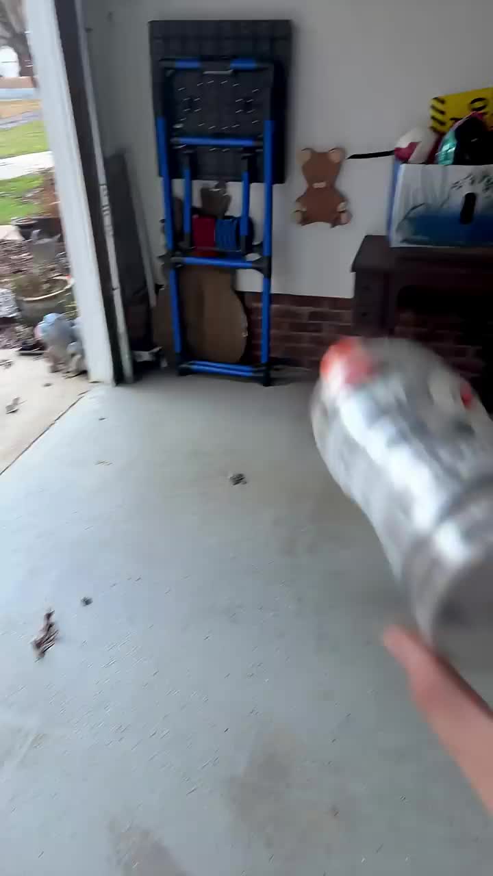 @bringonthehogs300