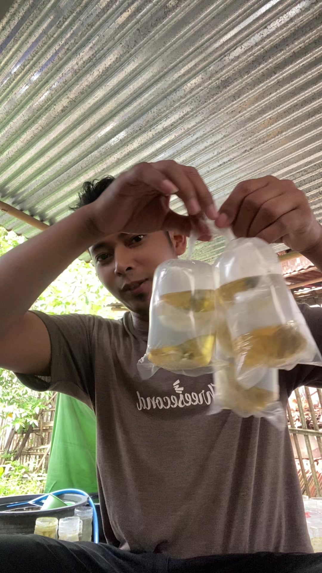 @aman fish