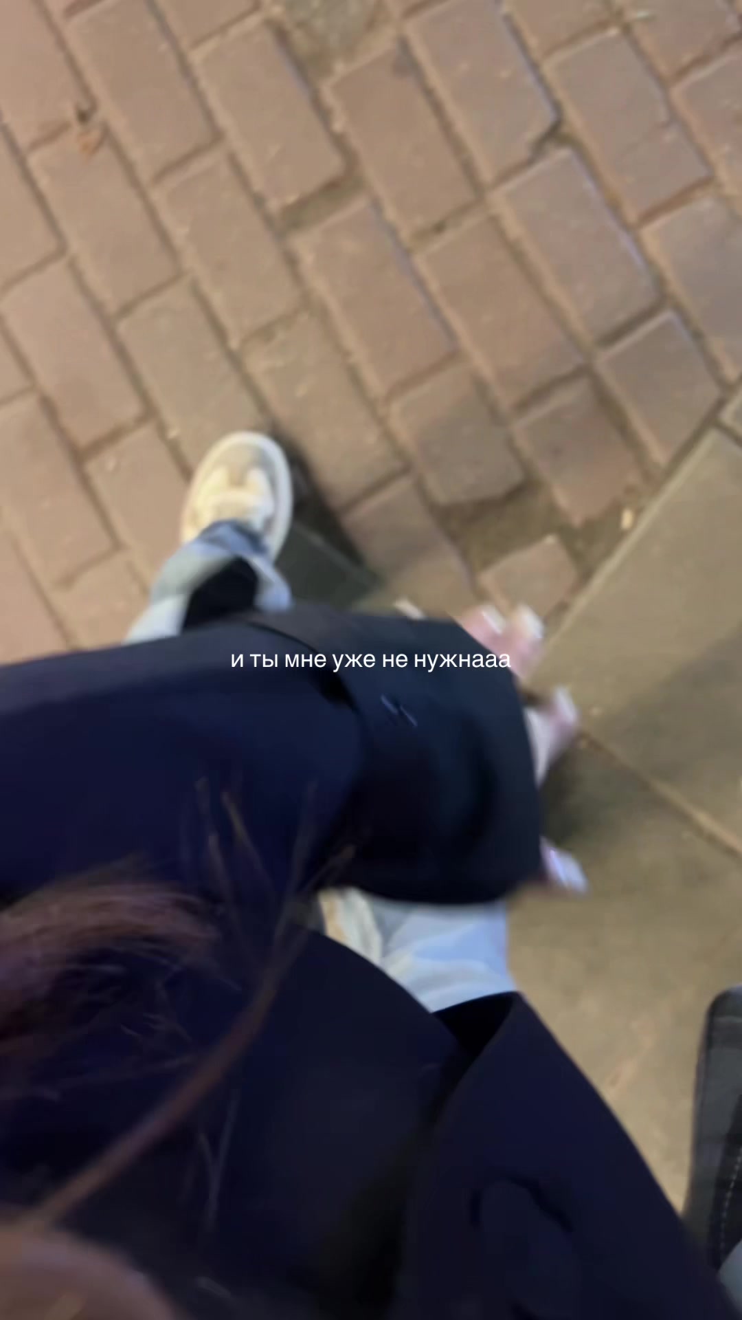 @seweks🦢