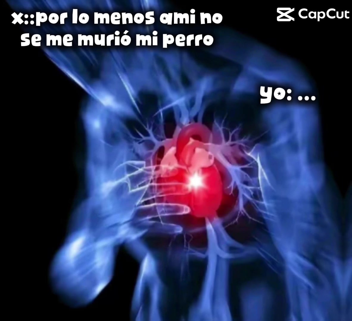 @Luisa_XD675