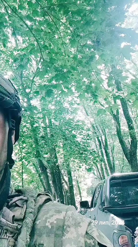 @__paliy__