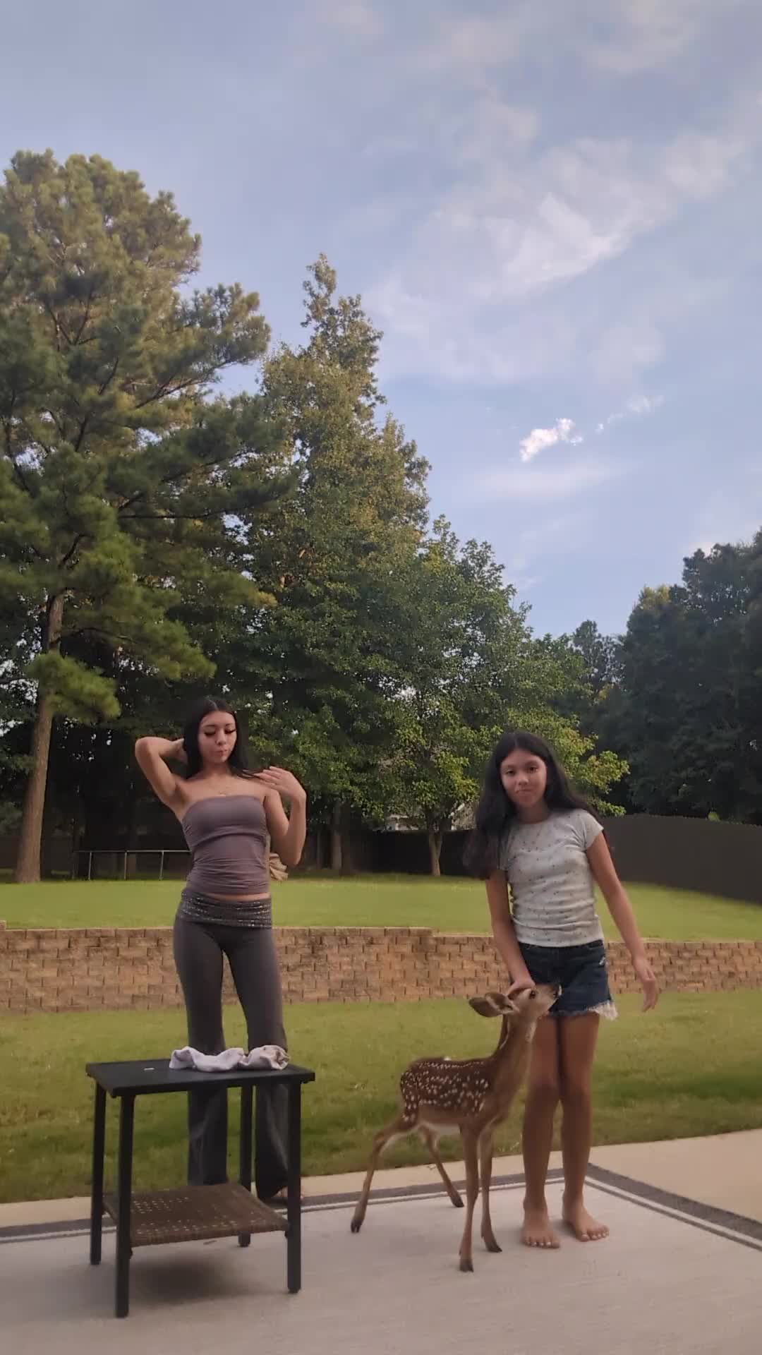 @gata