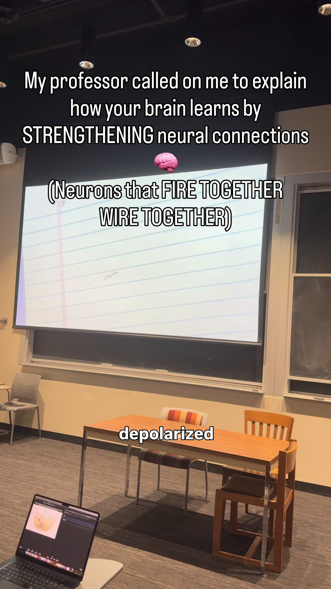 @brandonsbrainwave