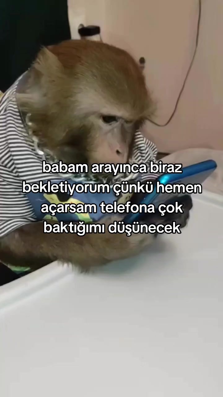 @rolland