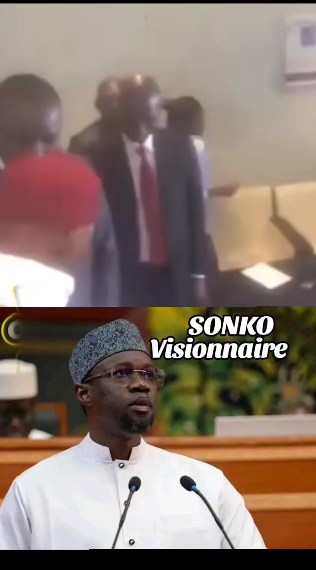 @Sonkovisionnaire(👁 de vision)