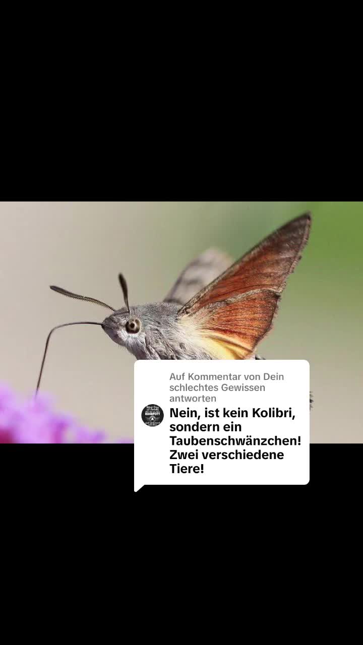 @AmArschvorbei