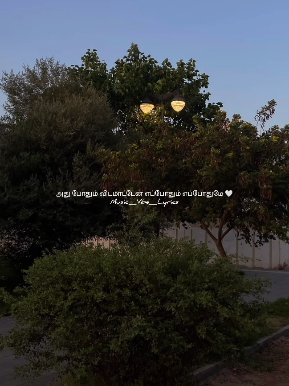 @Music_Vibes_Lyrics 🎶
