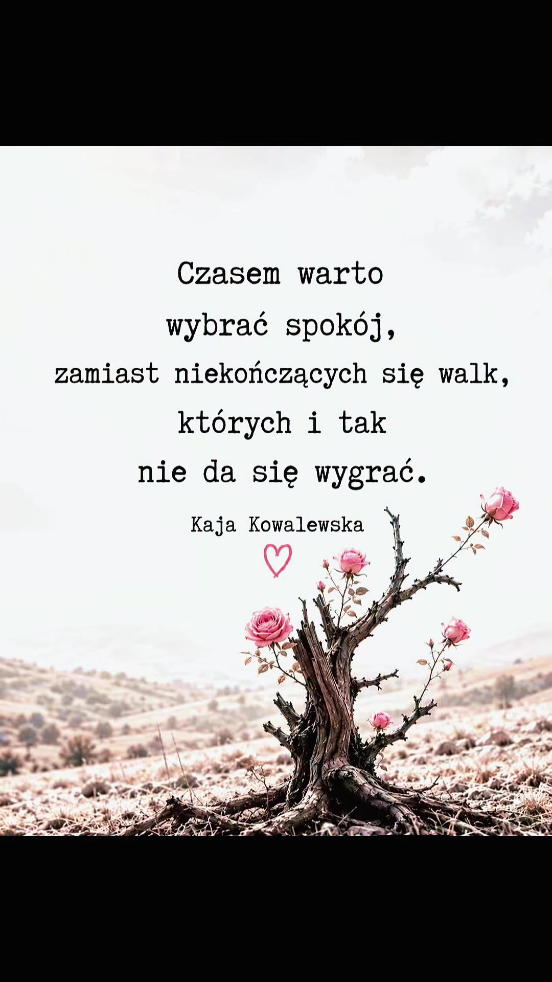 @Ewa S