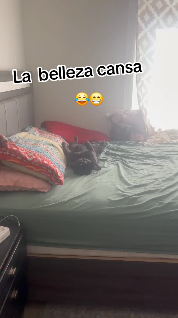 @Claribella 🦋🦋