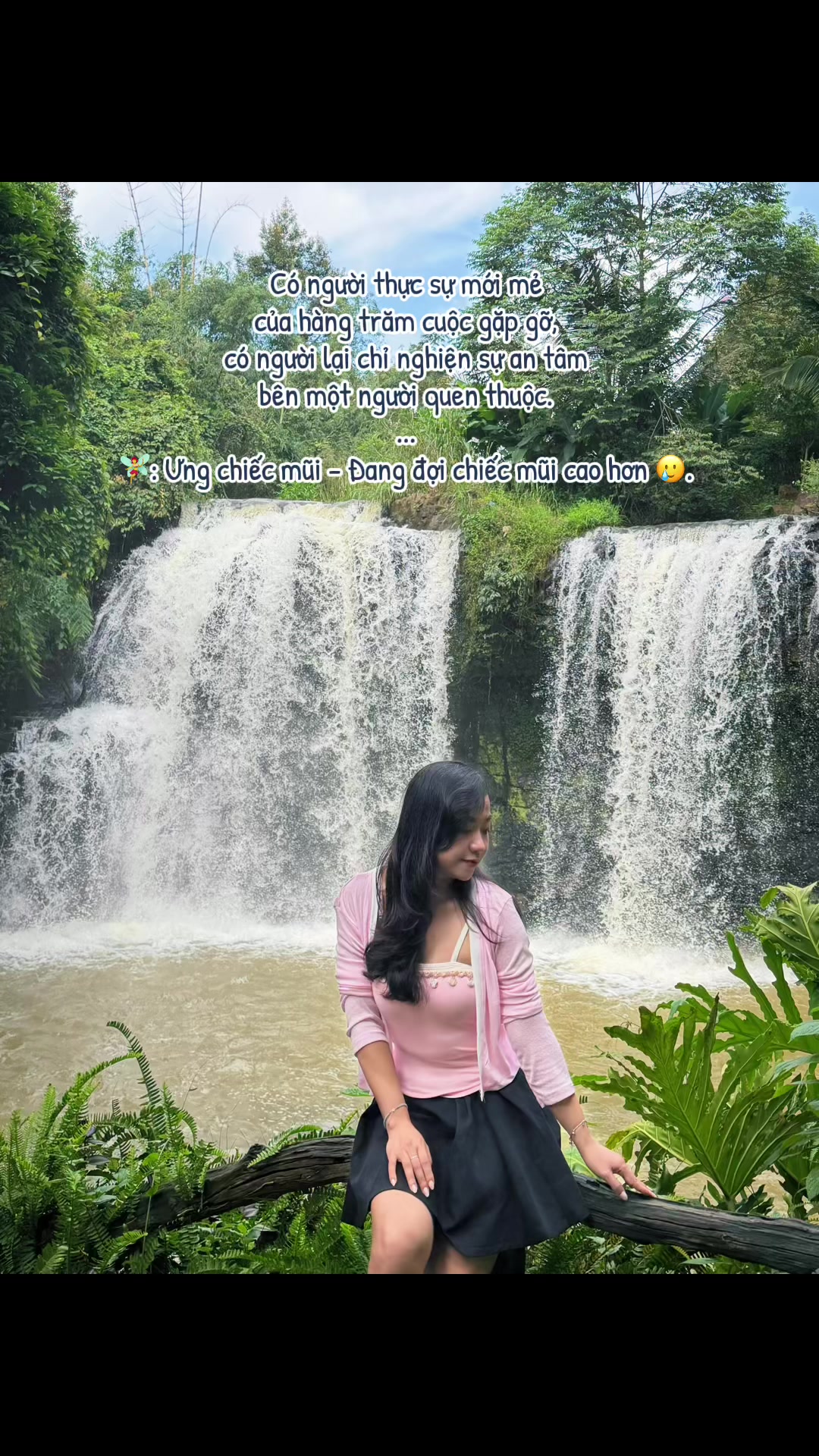 @🧚♂️Bồ Công Anh🧚♀️