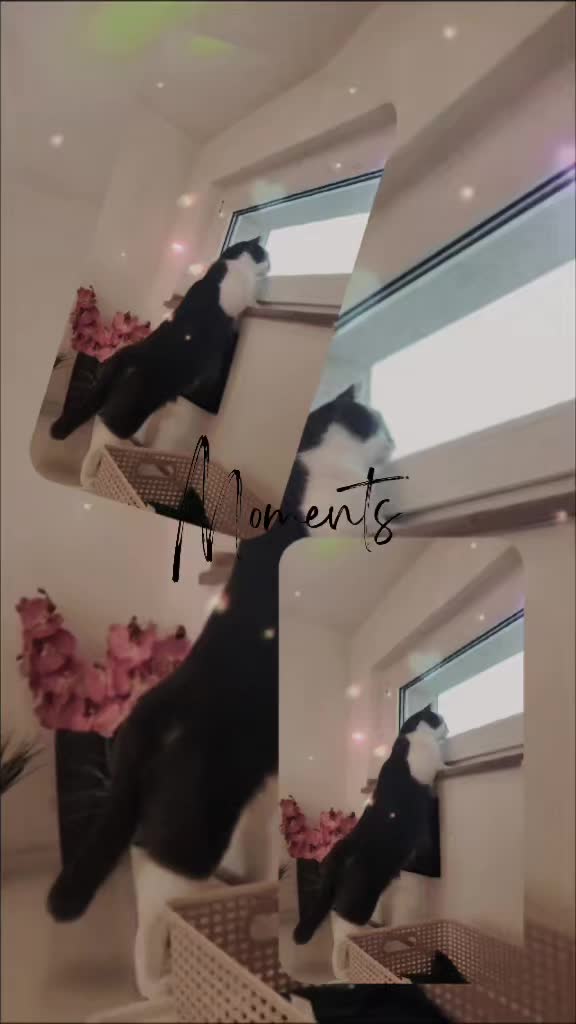 @𝐒𝔸𝓜тᑭᶠ&ouml;тᑕｈⒺή