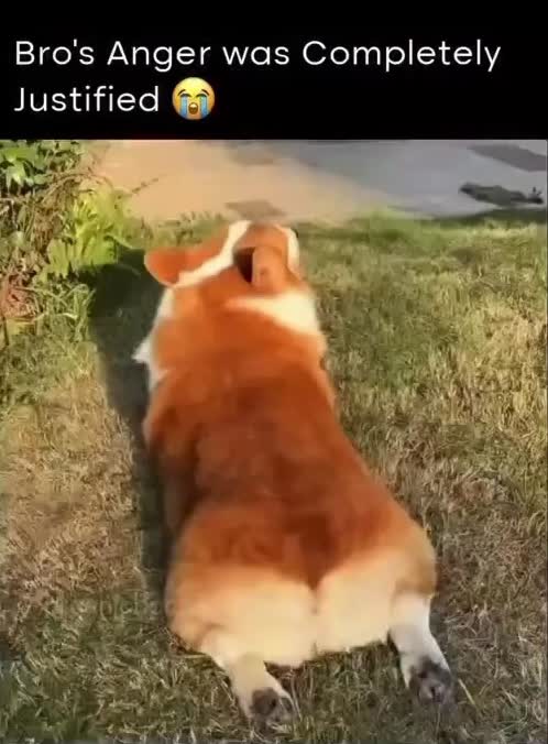 @jakefromstatefarm8592 🥷