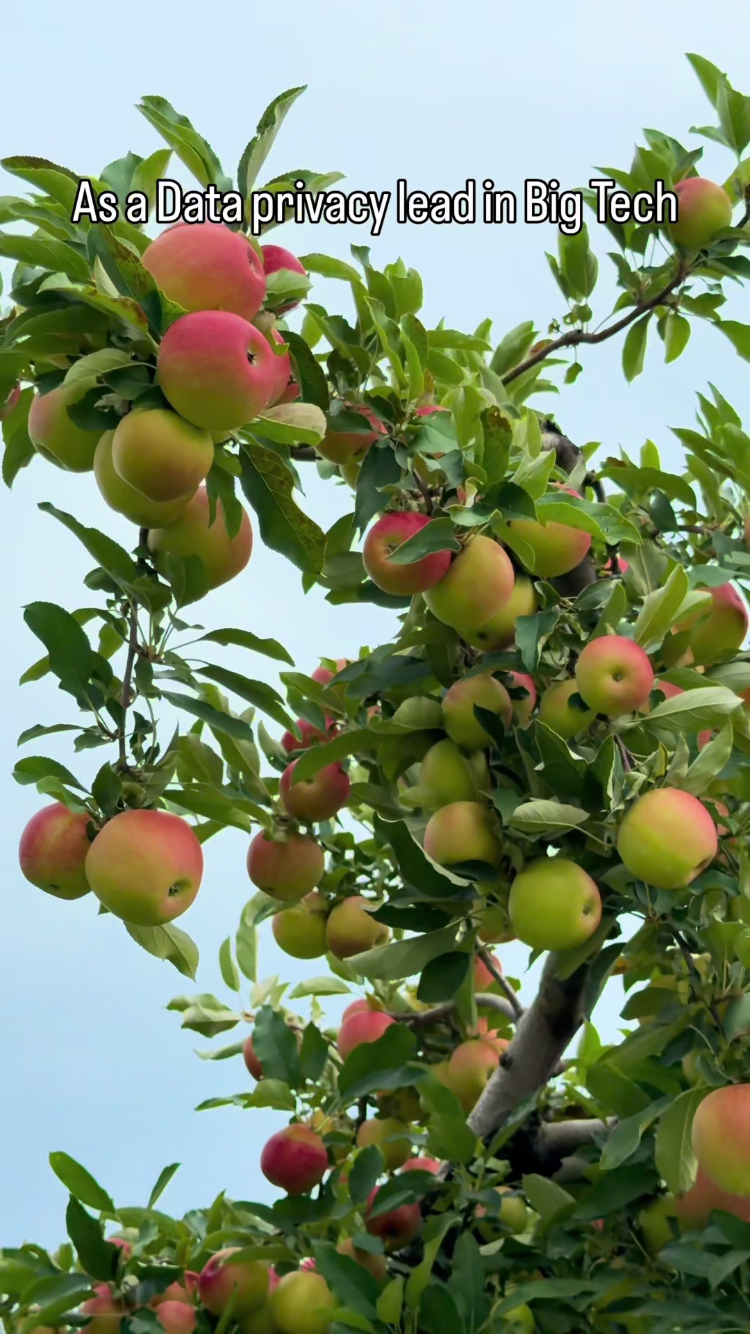 @Anupama