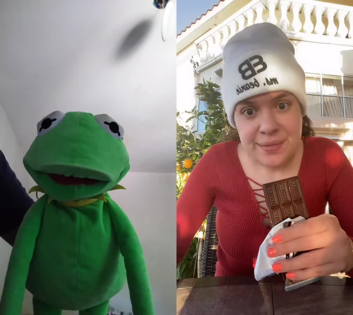 @Kermit The Frog Tiktok