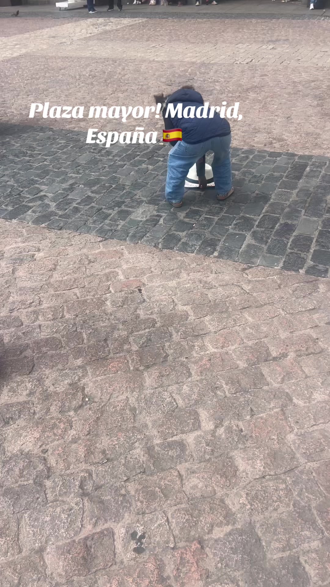 @www.zoniaarriola