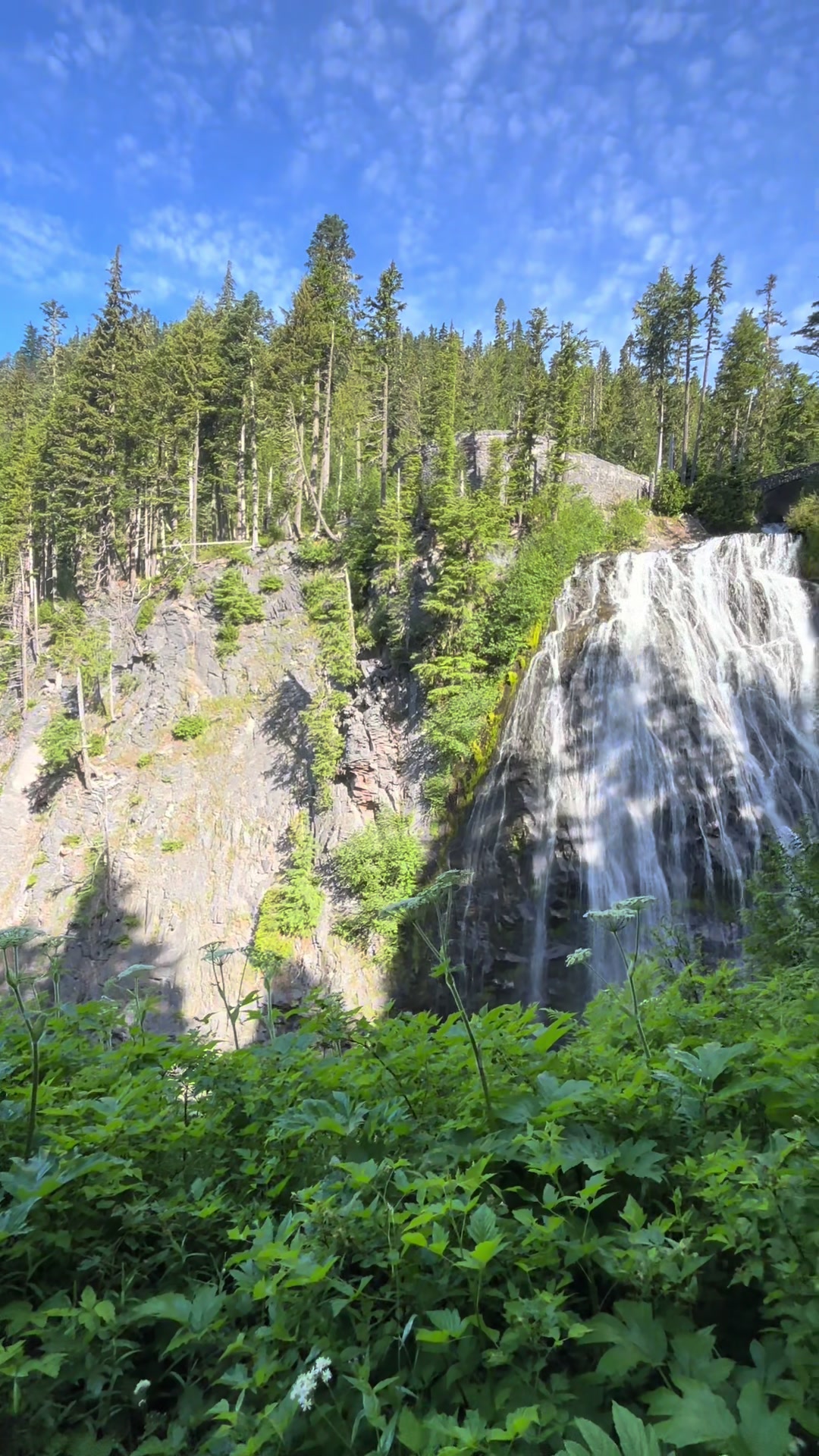 @LifeinthePNW