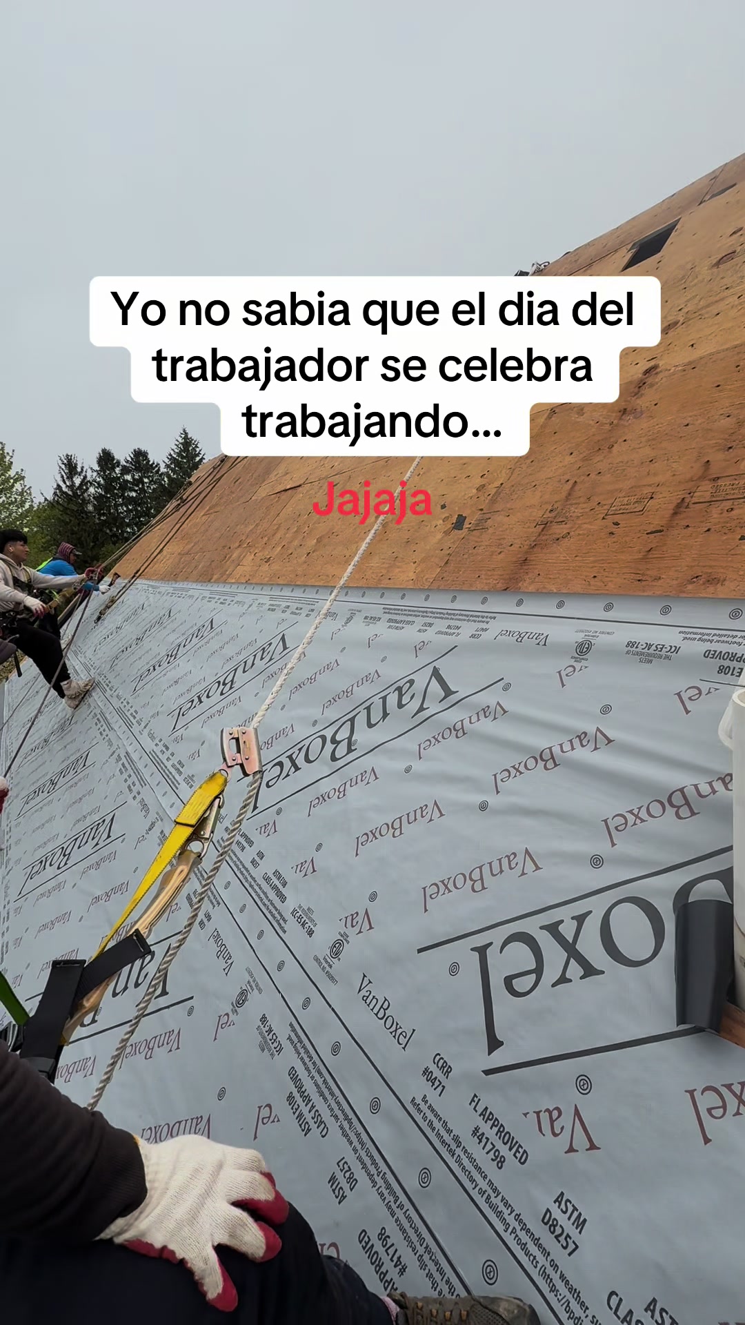 @️Sarahi❤️&zwj;🩹🍀